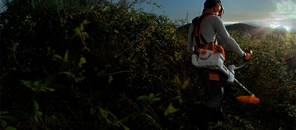 Подарки при покупке бензокосилки