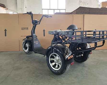 Электроскутер Трицикл Shtenli Model 108