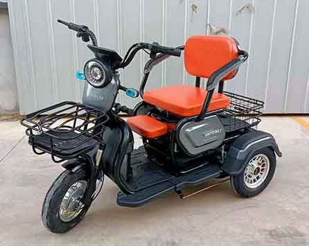 Электрический трицикл SHTENLI Model A031i