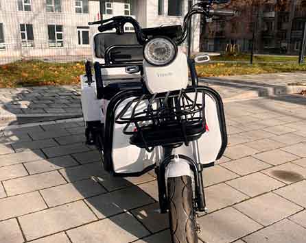 Электрический трицикл SHTENLI Model 34