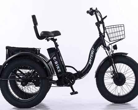 Электровелосипед Shtenli Trike PRO