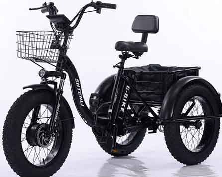 Электровелосипед Shtenli Trike PRO
