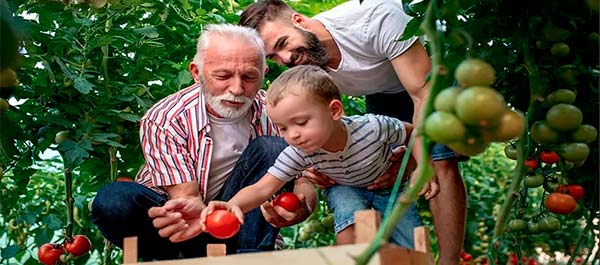 Подарки при покупке поликарбоната