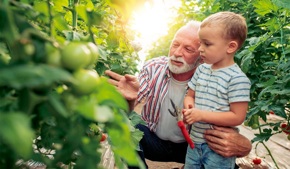 Качественная теплица