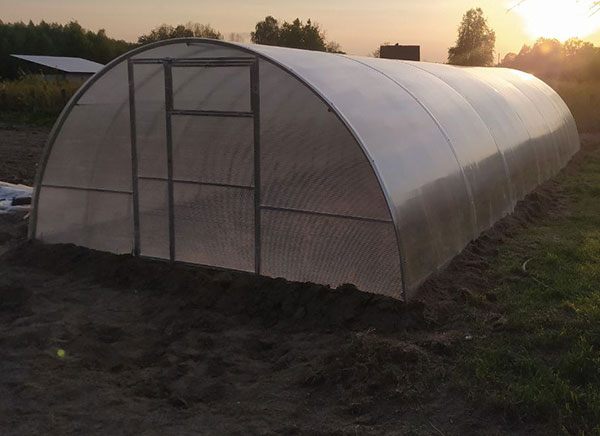 Теплица широкая