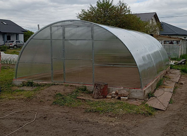 Теплица широкая