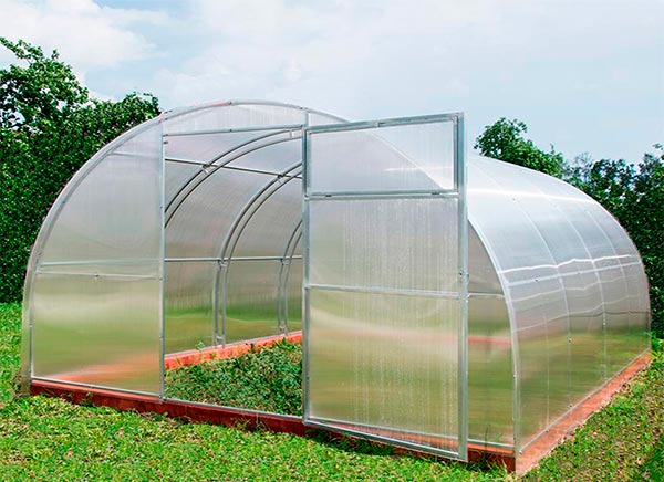 Прочная теплица Фора с двойными дугами