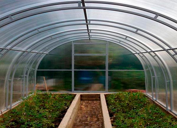 Прочная теплица Фора с двойными дугами