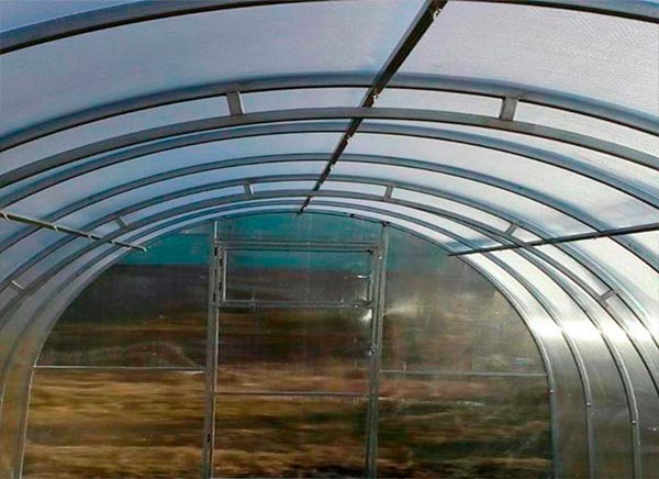 Прочная теплица Фора с двойными дугами