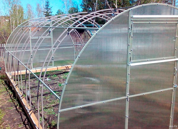 Прочная теплица Фора с двойными дугами