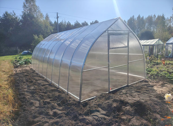 Теплица капелька