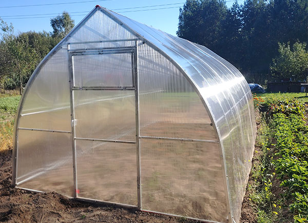 Теплица капелька