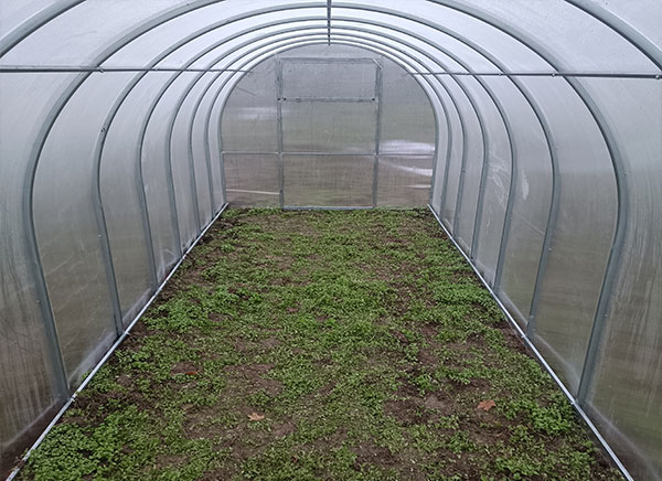 Теплица Мини